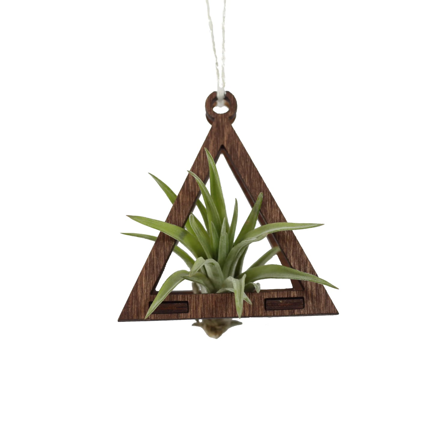 Mini Pyramid Air Plant Hanger