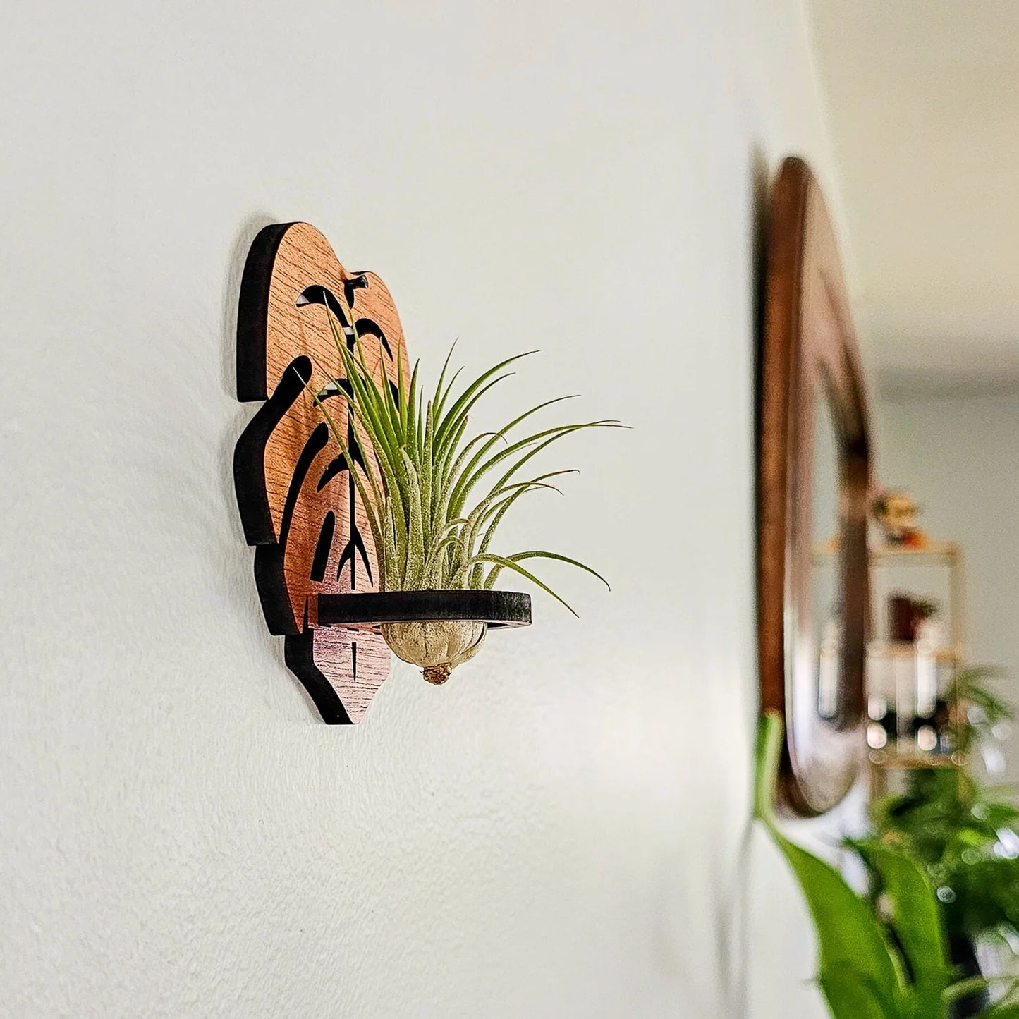 Small Monstera Leaf Air Plant Hanger