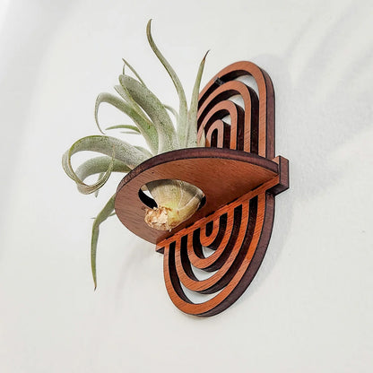 Small Boho Air Plant Hanger