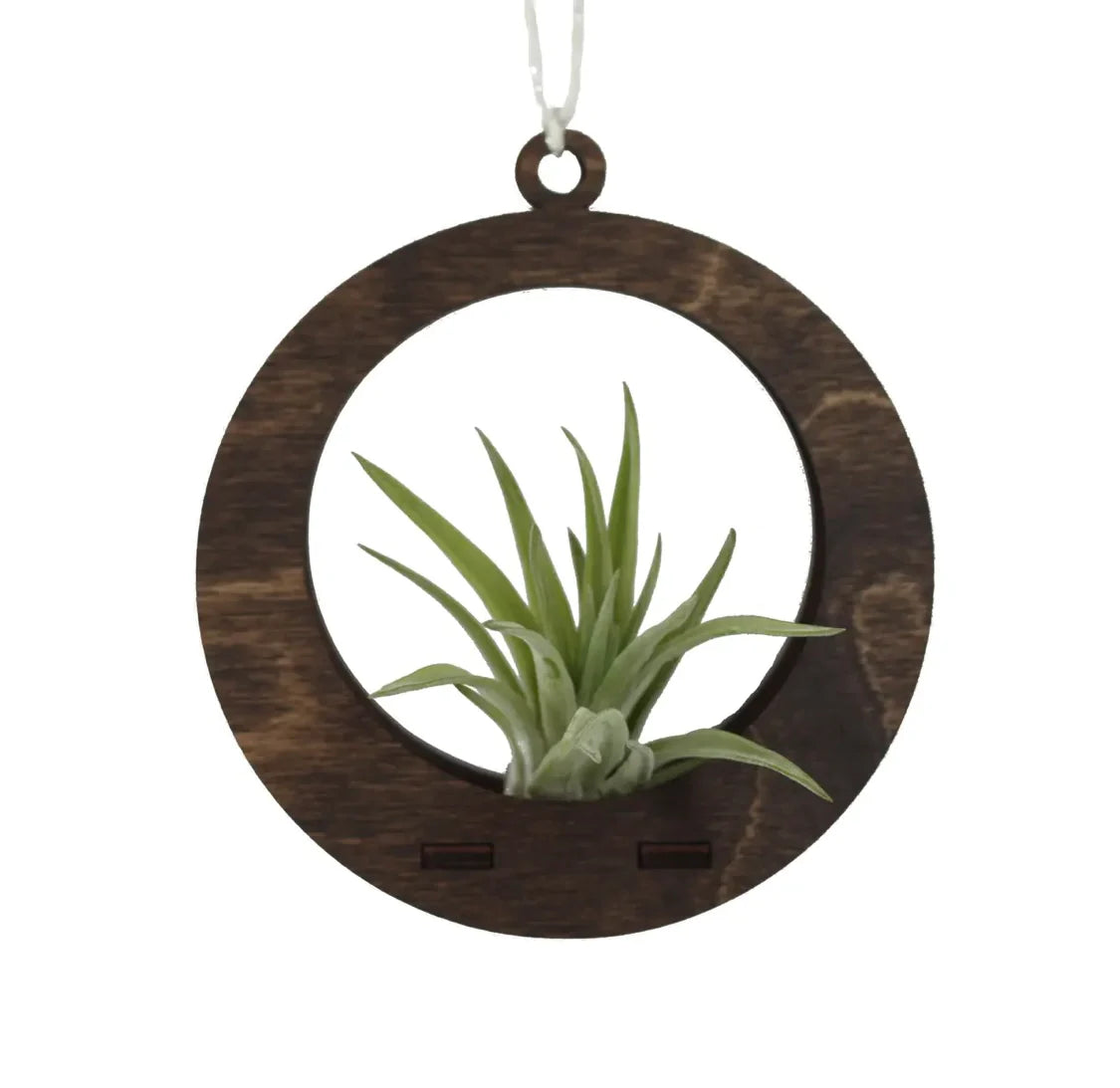 Mini Round Air Plant Hanger