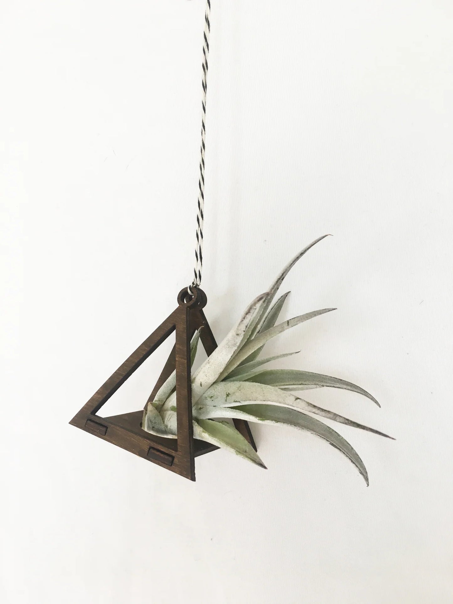 Mini Pyramid Air Plant Hanger