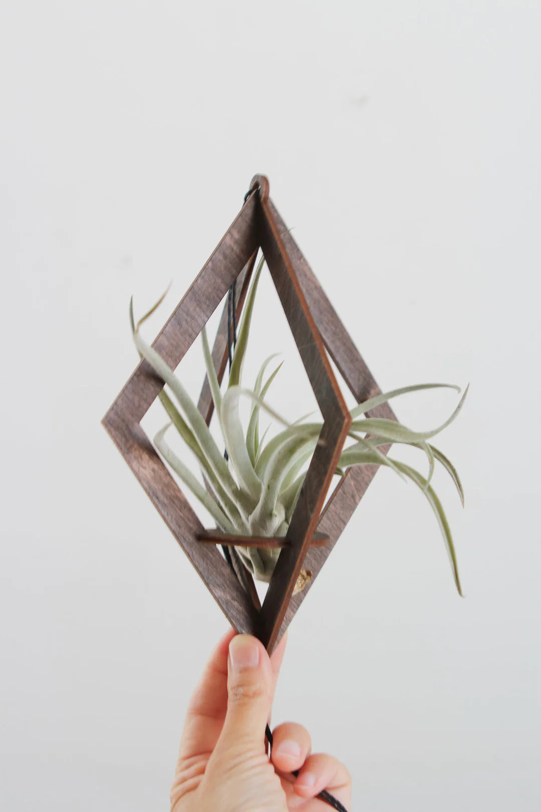 Diamond Air Plant Hanger