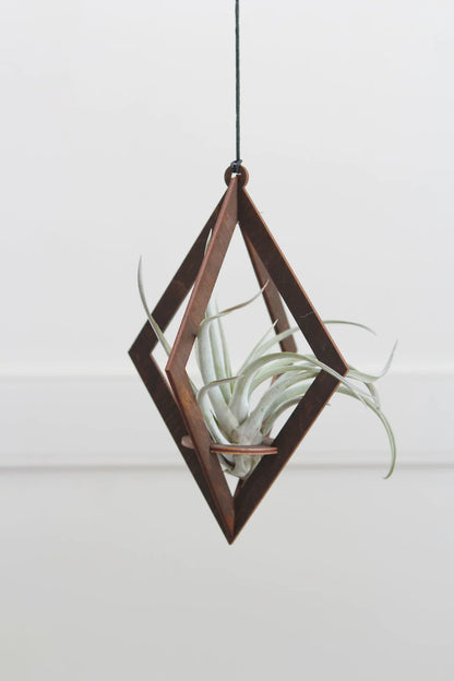 Diamond Air Plant Hanger