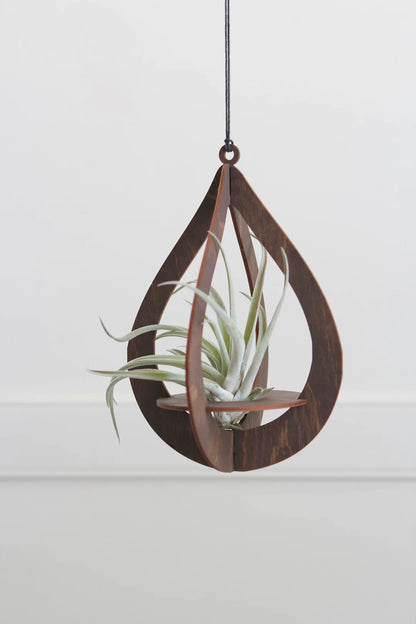 Teardrop Air Plant Hanger