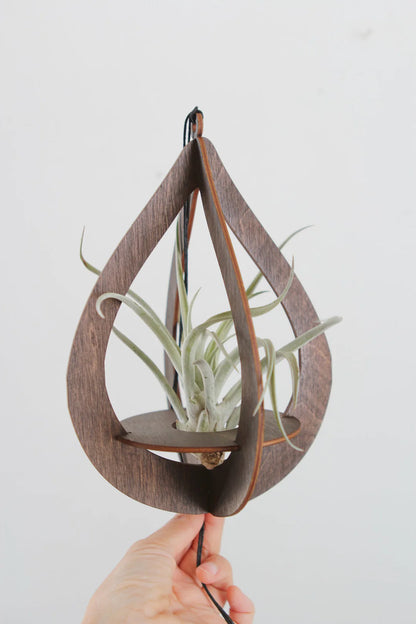 Teardrop Air Plant Hanger