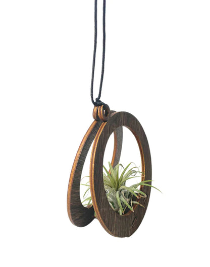 Mini Round Air Plant Hanger