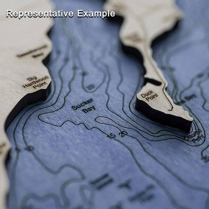 Arlington Mill Reservoir Depth Map