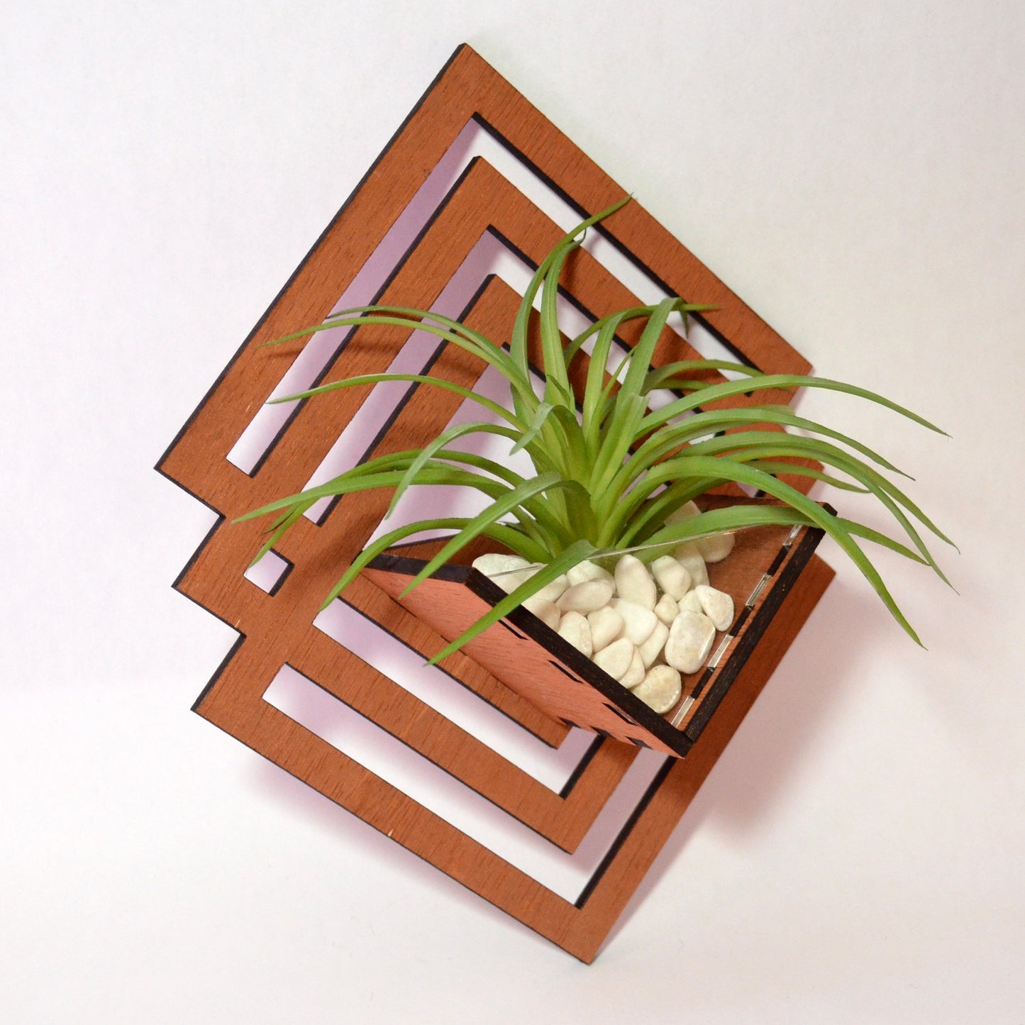 air plant wall hanger Ascend Air Plant Hanger – Zyphire Studios
