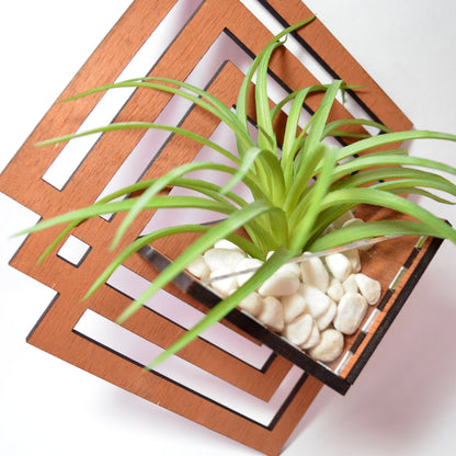 air plant tray Ascend Air Plant Hanger – Zyphire Studios